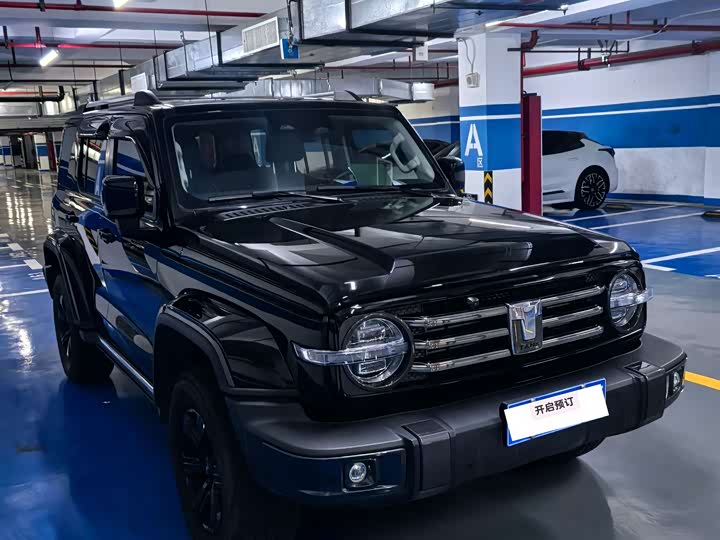 Фото 2 - Tank 300