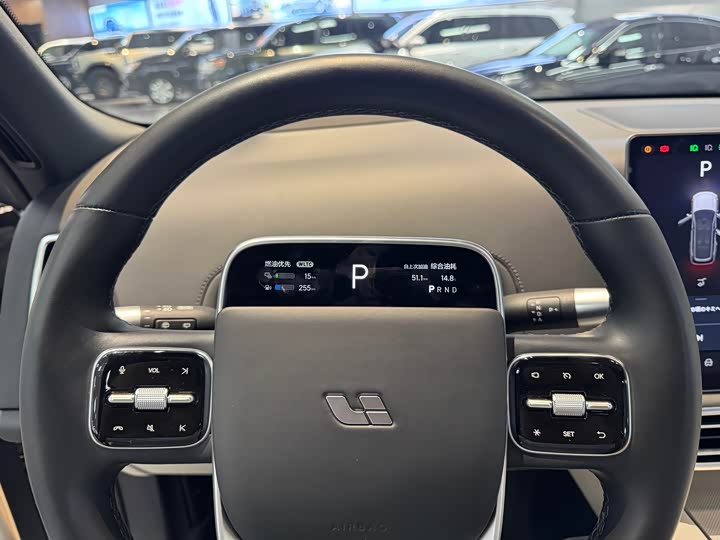 Фото 20 - LiXiang L9