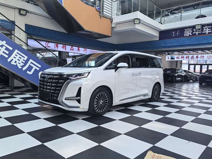 Фото 1 - Denza D9