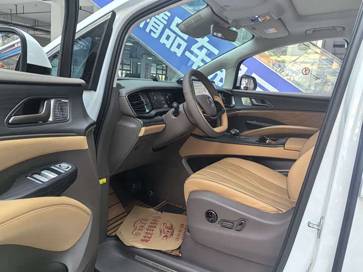 Фото 10 - Denza D9