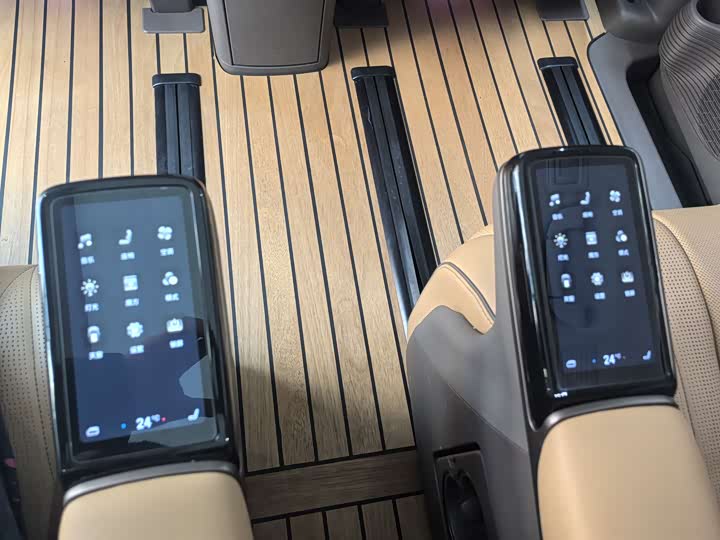 Фото 13 - Denza D9