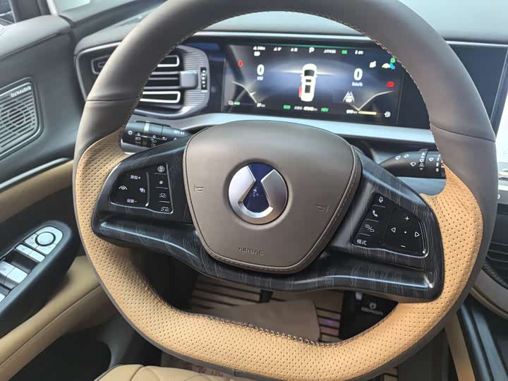 Фото 17 - Denza D9