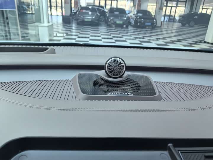 Фото 19 - Denza D9