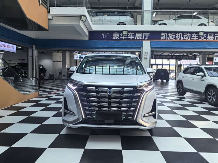 Фото 2 - Denza D9