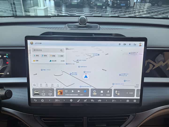 Фото 20 - Denza D9