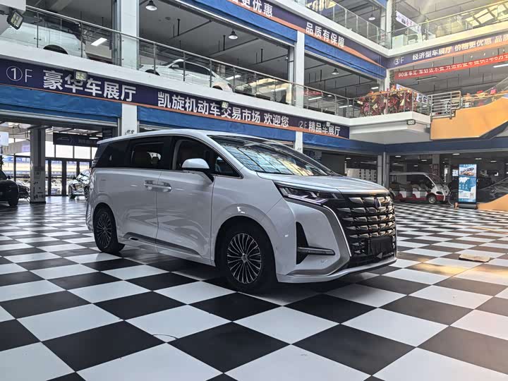 Фото 3 - Denza D9