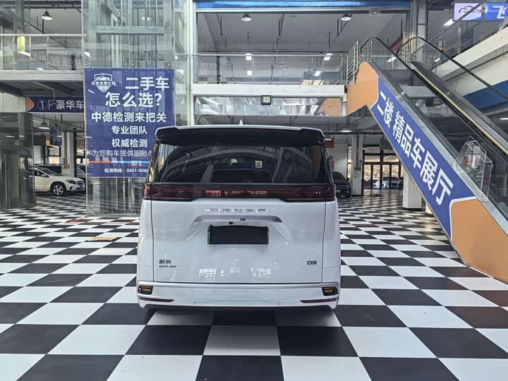 Фото 5 - Denza D9