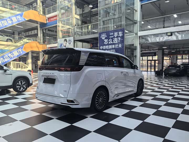 Фото 8 - Denza D9