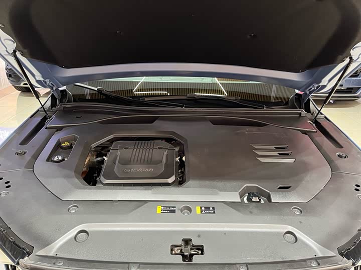 Фото 32 - GAC Trumpchi GS8