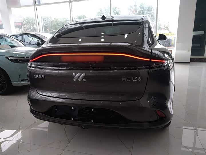 Фото 6 - IM motors LS6