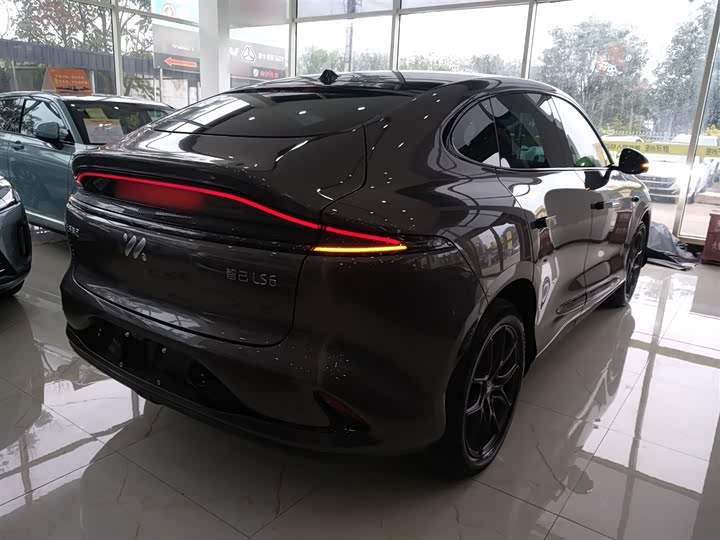 Фото 7 - IM motors LS6