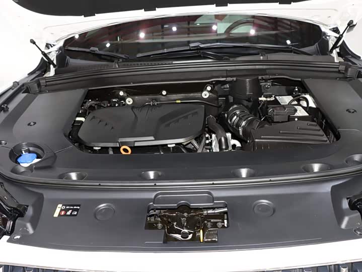 Фото 19 - Wey Mocha