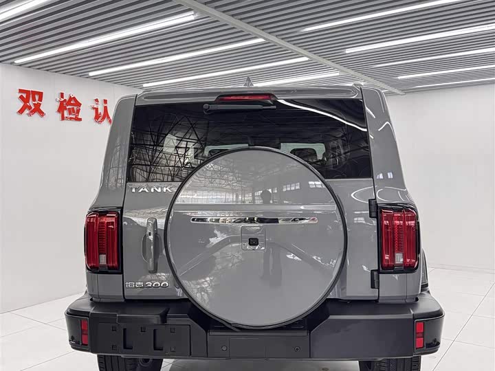 Фото 7 - Tank 300