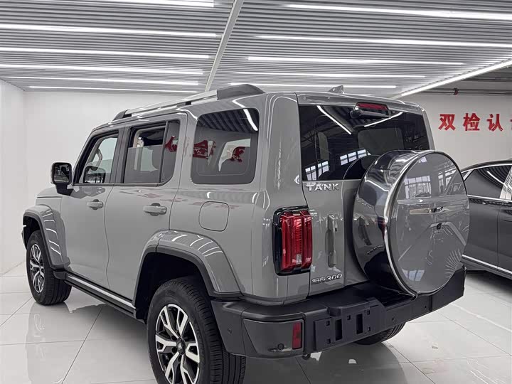 Фото 9 - Tank 300