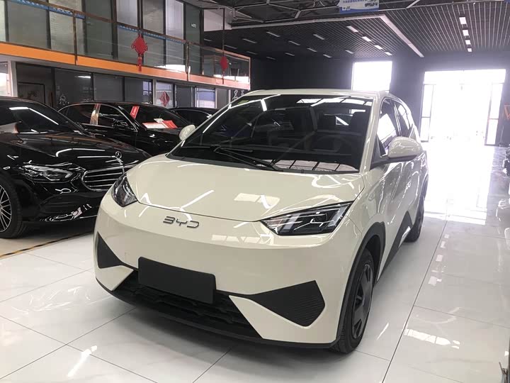 Фото 1 - BYD Seagull