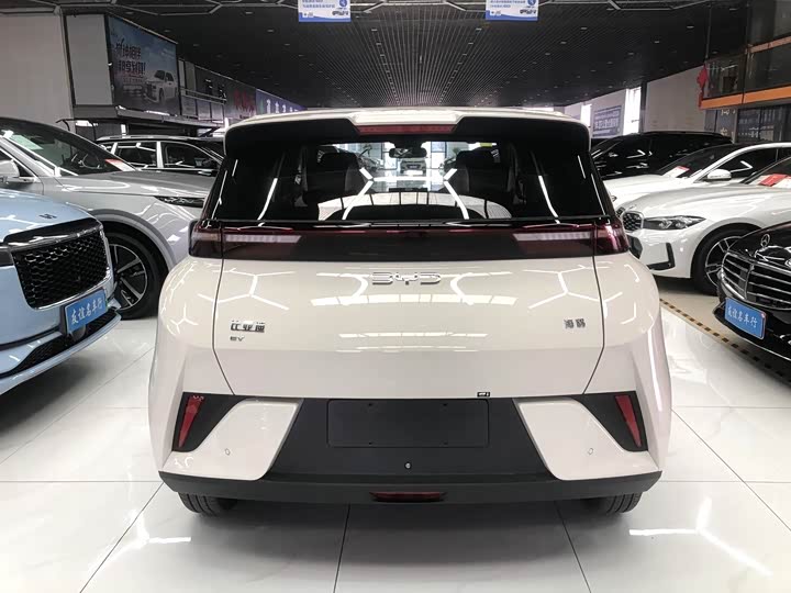 Фото 2 - BYD Seagull