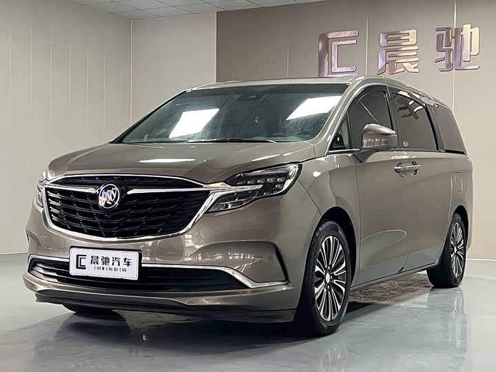 Фото 1 - Buick GL8 ES