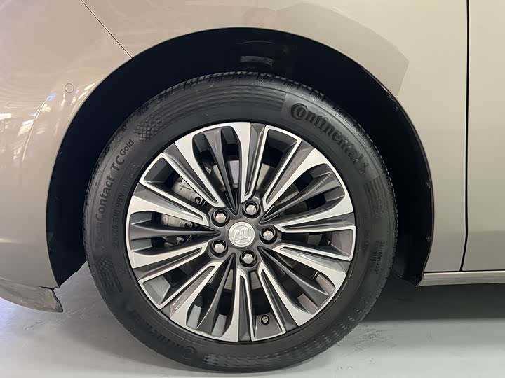 Фото 16 - Buick GL8 ES