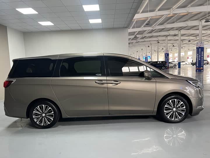 Фото 7 - Buick GL8 ES