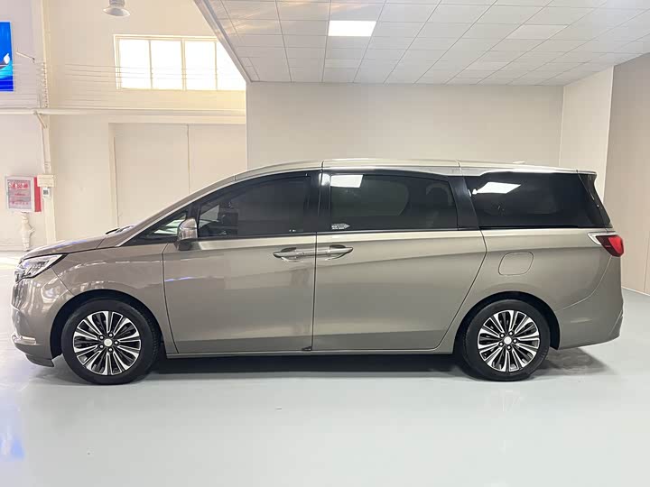 Фото 8 - Buick GL8 ES