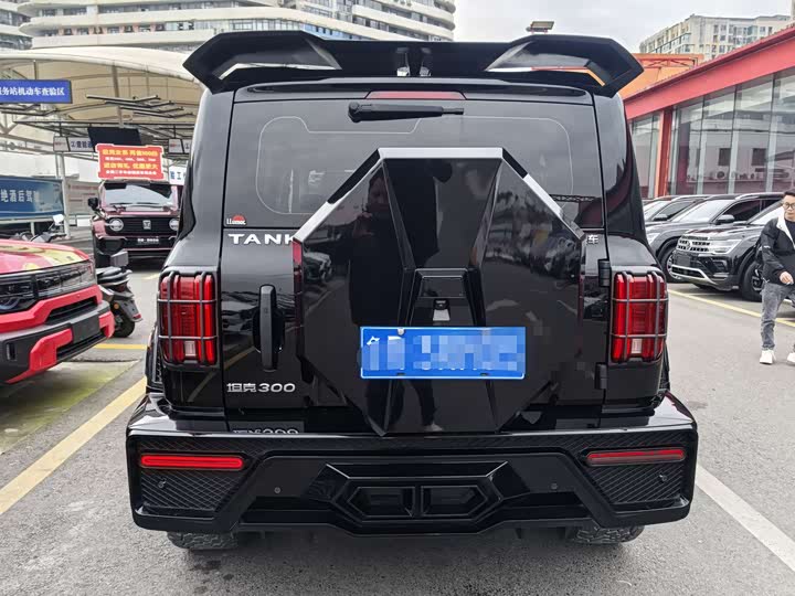 Фото 14 - Tank 300