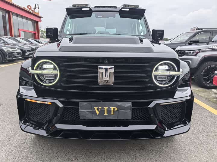 Фото 2 - Tank 300