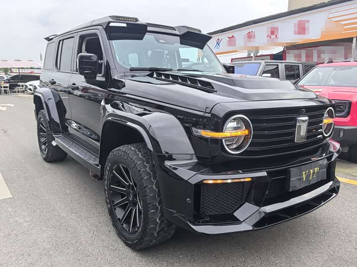 Фото 3 - Tank 300