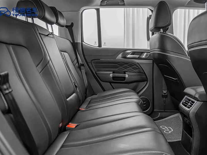 Фото 16 - Tank 300