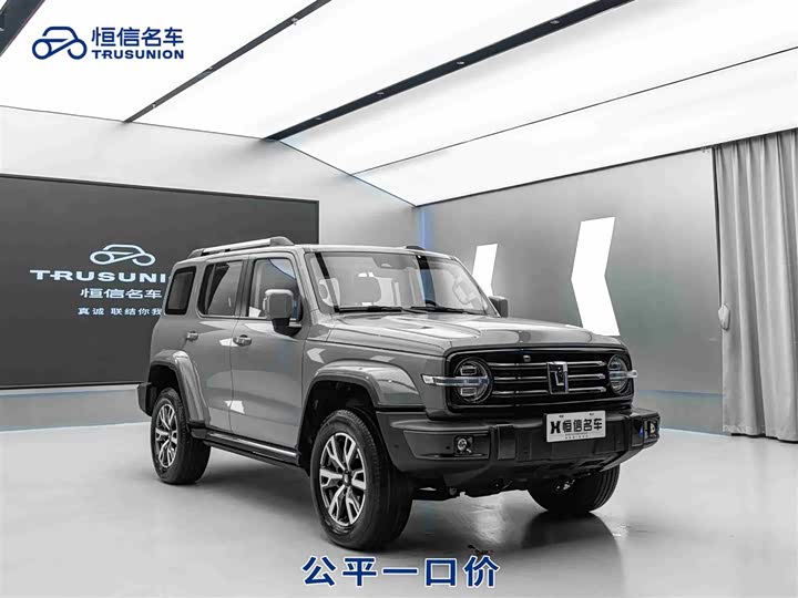 Фото 2 - Tank 300