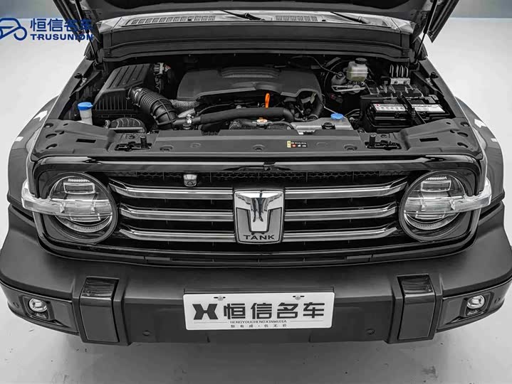 Фото 21 - Tank 300