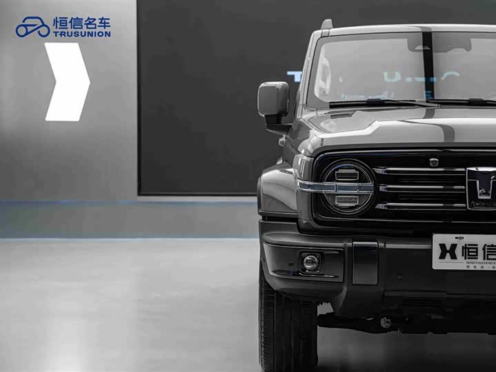 Фото 8 - Tank 300