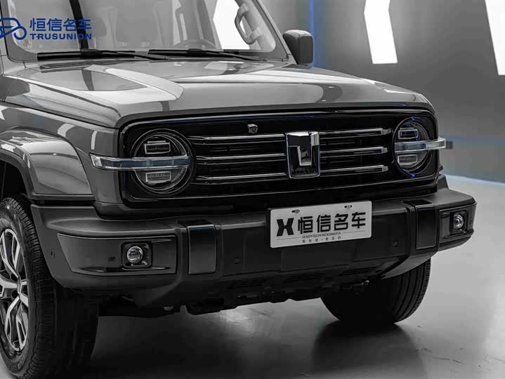 Фото 9 - Tank 300