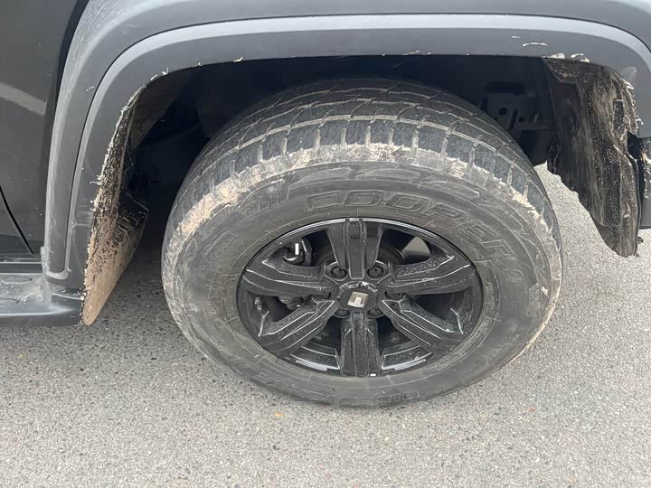 Фото 4 - Tank 300