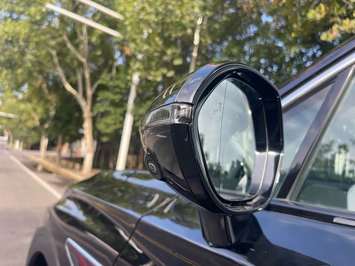 Фото 17 - Hongqi HS7 Hybrid