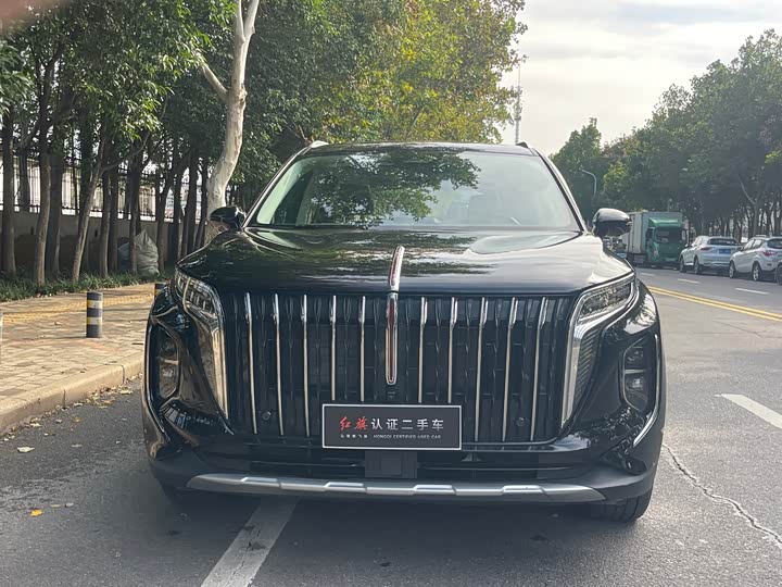 Фото 2 - Hongqi HS7 Hybrid