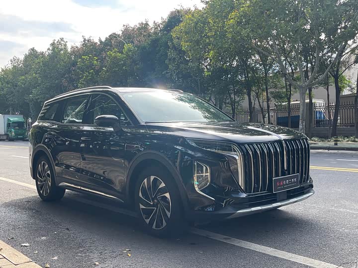 Фото 3 - Hongqi HS7 Hybrid