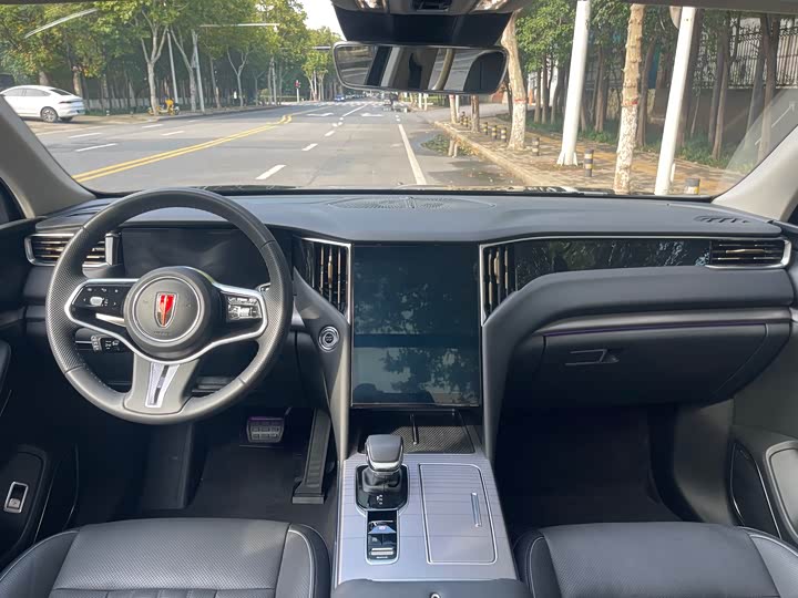 Фото 6 - Hongqi HS7 Hybrid