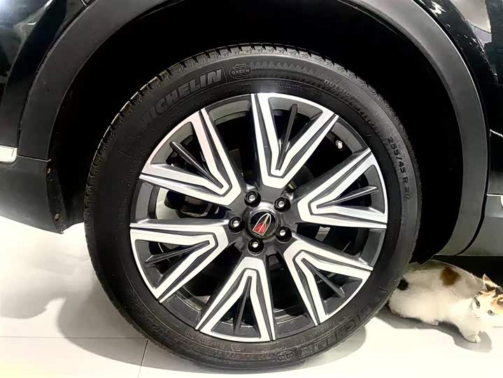 Фото 17 - Hongqi HS5