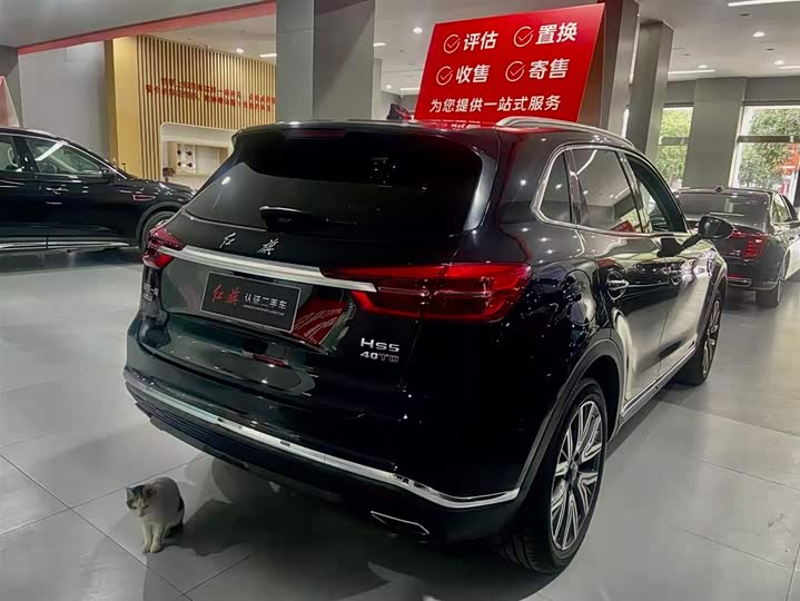 Фото 20 - Hongqi HS5