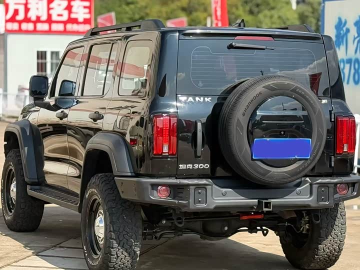 Фото 4 - Tank 300