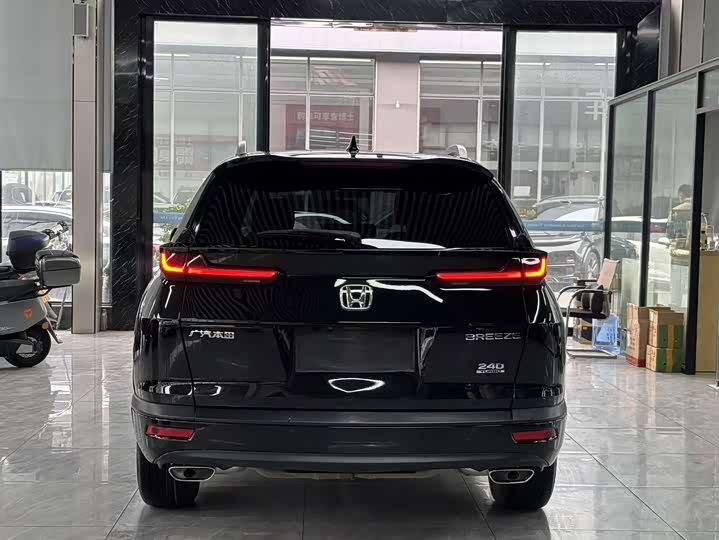 Фото 8 - Honda Breeze