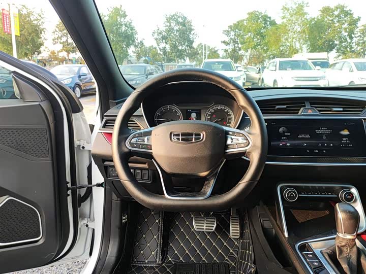 Фото 11 - Geely Binrui