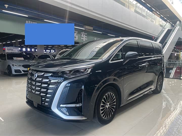 Фото 1 - Denza D9