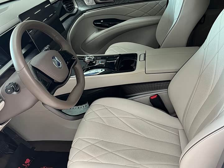 Фото 10 - Denza D9