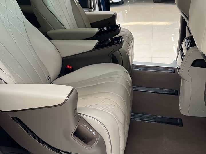 Фото 13 - Denza D9