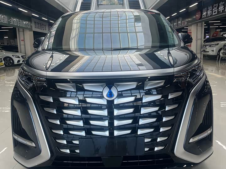 Фото 2 - Denza D9