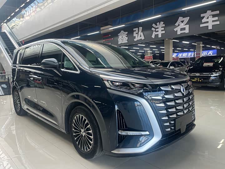 Фото 3 - Denza D9