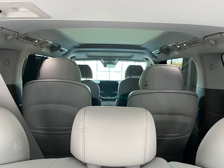 Фото 8 - Denza D9