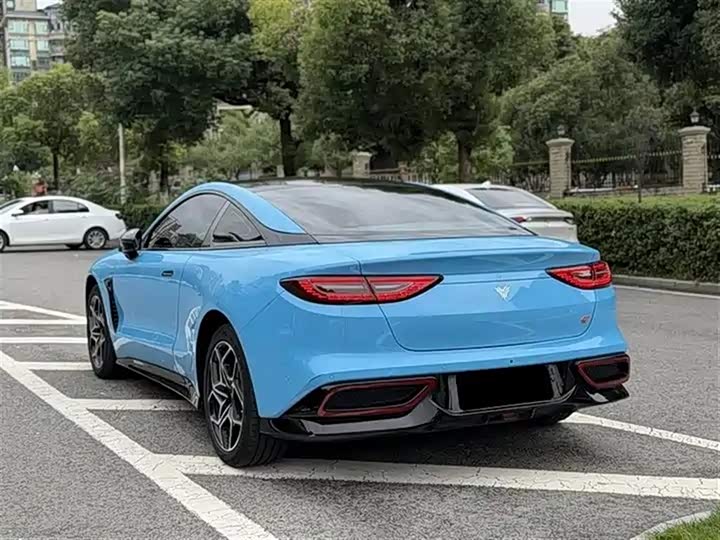 Фото 10 - Hozon GT