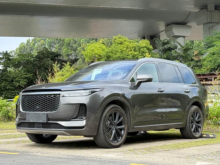 Фото 1 - LiXiang One